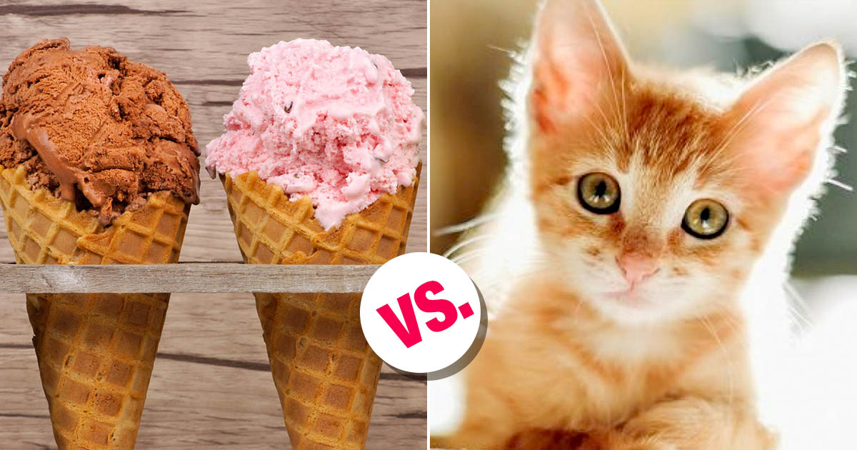 This 🍦 Ice Cream Vs 🐶 Baby Animals “Would You Rather” Will Be the Hardest Quiz You’ll Take Today