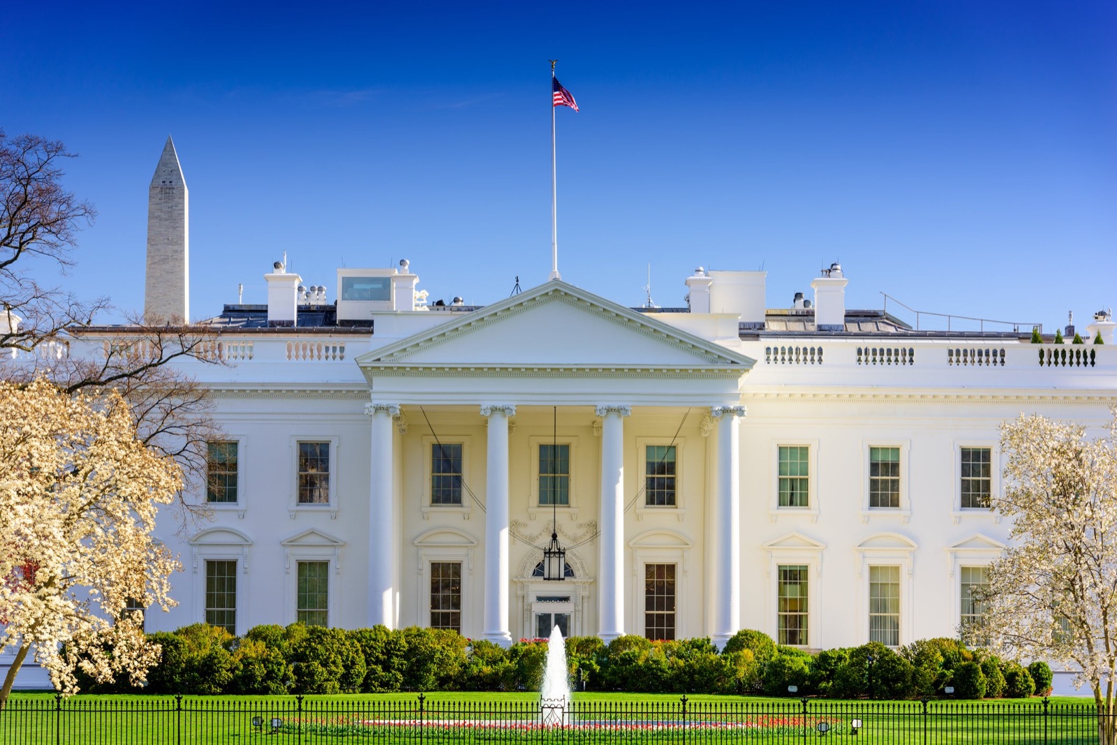 Is Your General Knowledge Better Than the Average Person? White House Us Government