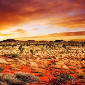The Average Person Can Score 15/26 on This Trivia Quiz, So to Impress Me, You’ll Have to Score Least 20 Australian