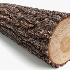 This Vocabulary Quiz May Seem Simple, But How Well Can You Score? One log