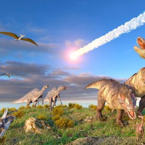 Dinosaur Quiz 1.6 million years