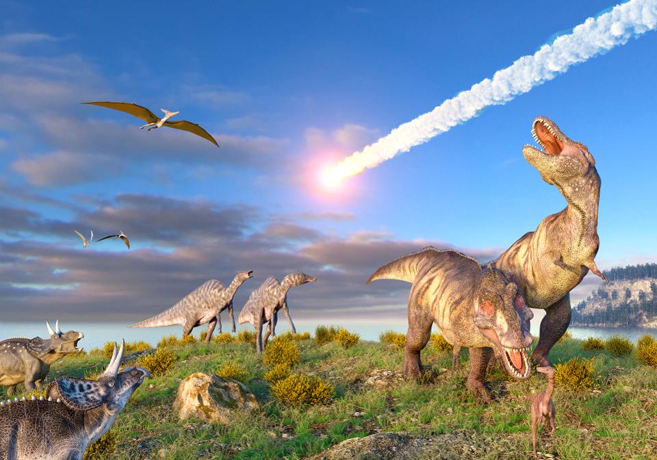 You Have 15 Questions to Prove You Have a Ton of General Knowledge Dinosaurs