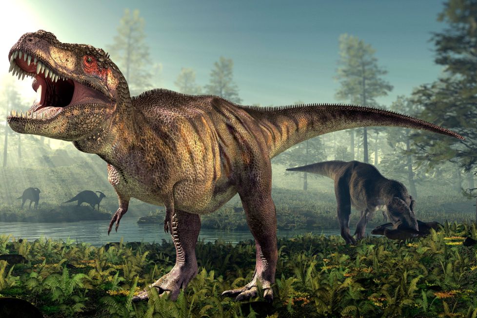 People With a High IQ Will Find This General Knowledge Quiz a Breeze Dinosaurs