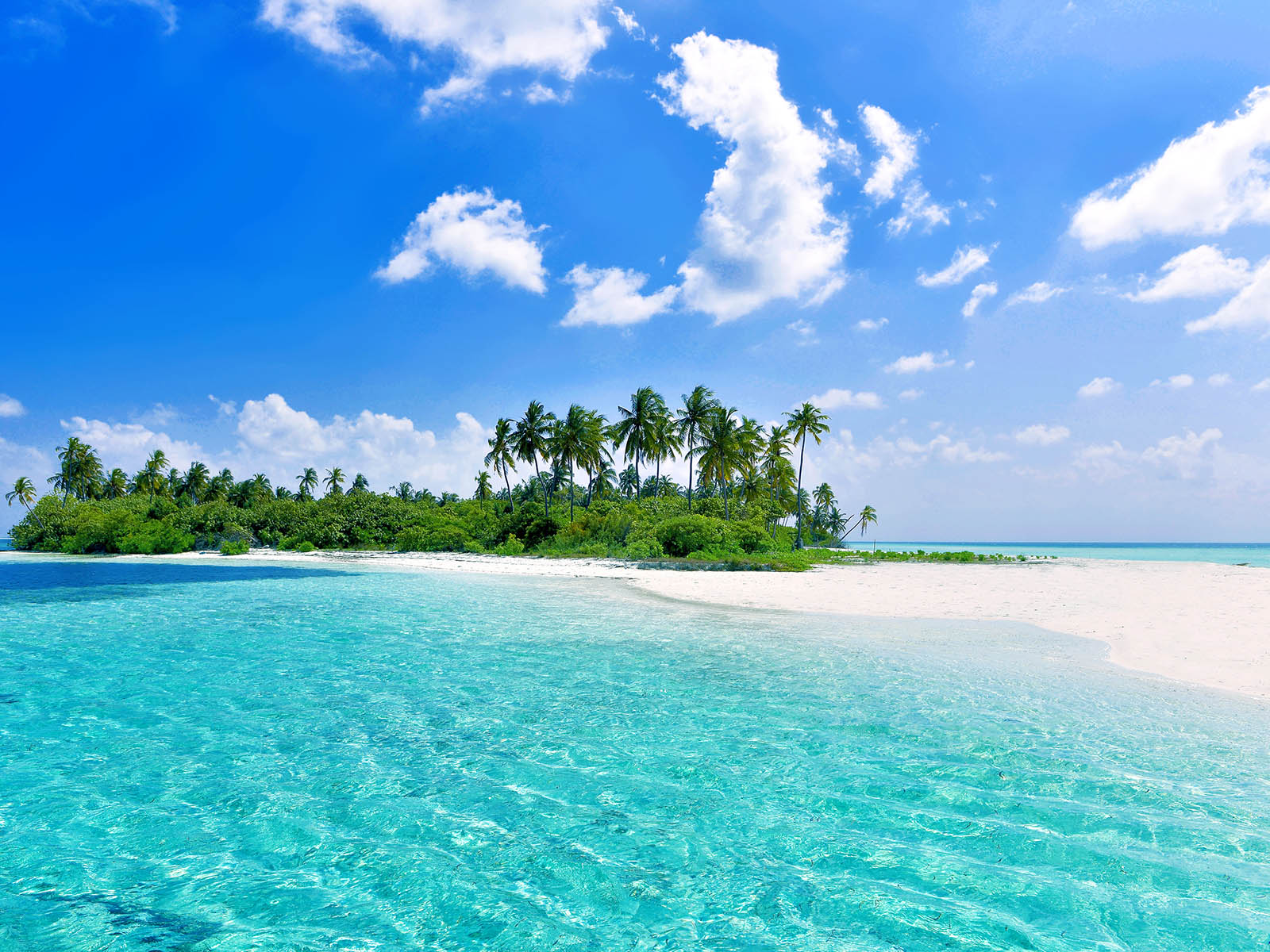 It’s That Easy — Score Big on This 30-Question ‘Round the World Quiz to Win Maldives Island