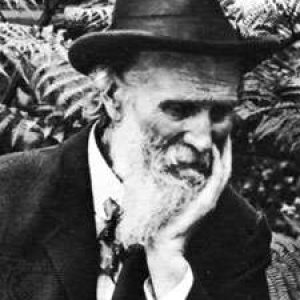 Only Straight-A Students Can Get at Least 12/15 on This General Knowledge Quiz John Muir
