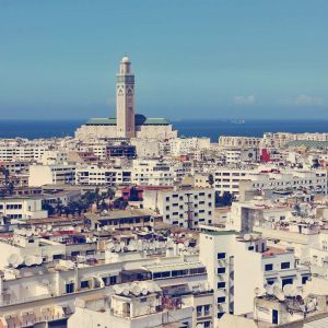 Spirit Animal Travel Quiz Casablanca, Morocco