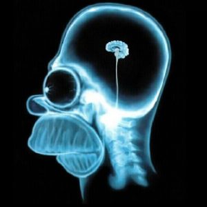 X Trivia Quiz X-ray