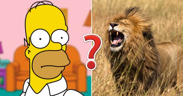 Can You Answer All 20 of These Super Easy Trivia Questions Correctly?
