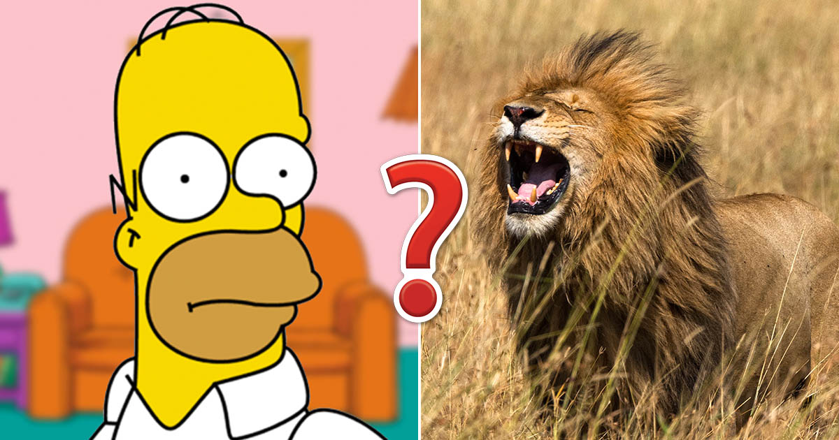 Can You Answer All 20 of These Super Easy Trivia Questions Correctly?