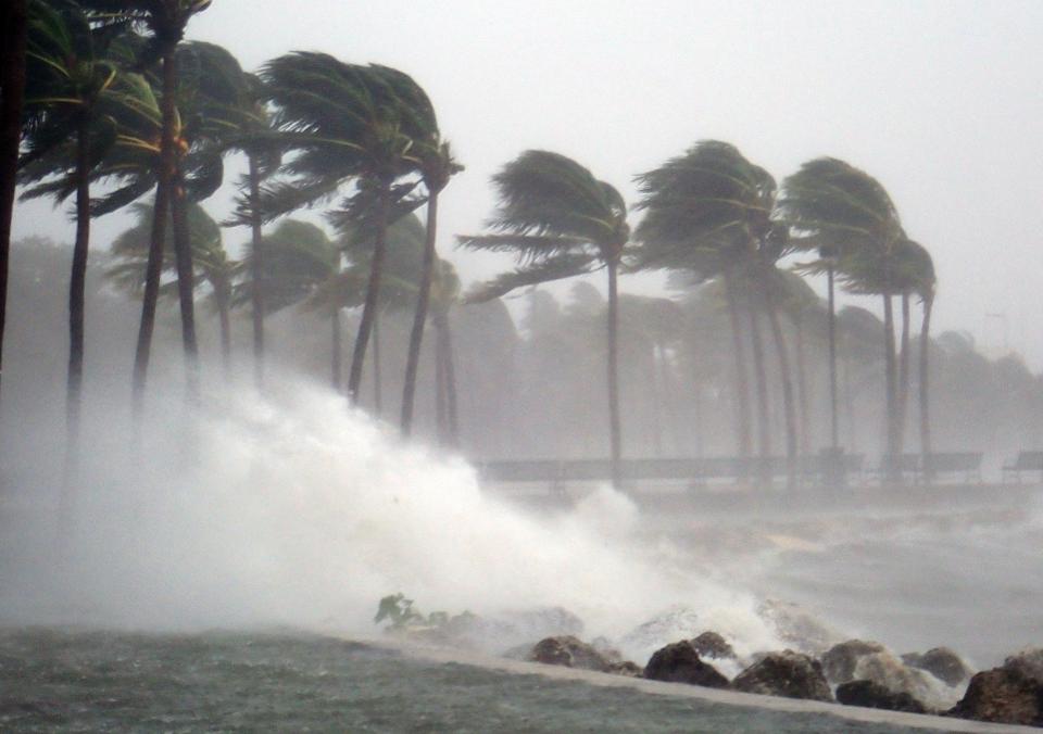 This Random Knowledge Quiz Is Easy If You’re Smart Hurricane