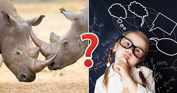 This General Knowledge Quiz Will Test Your Brain in Several Areas