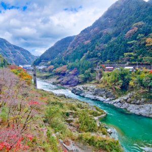 This Random Knowledge Quiz May Be Difficult, But You Should Try to Pass It Anyway Shikoku