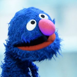 This Trivia Quiz Is Not THAT Hard, But Can You Pass It? Grover