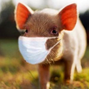 This Trivia Quiz Is Not THAT Hard, But Can You Pass It? Swine flu