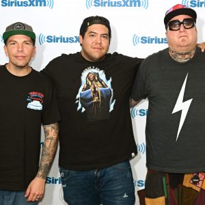 If You Know Who Sang These Songs, You Were Born Before 1990 Sublime