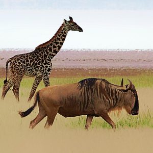 Most People Can't Get 10 On This Random Knowledge Quiz — Can You? Gnu