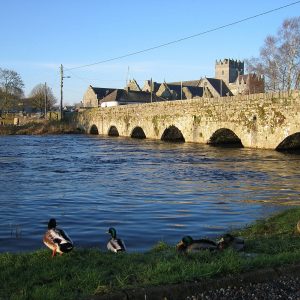 🗺 It’s Rare to Pass This Geography Quiz, Even Rarer to Get a Perfect Score River Suir
