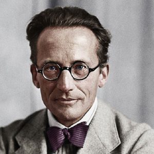 Only People With High Intelligence Can Pass This Random Knowledge Quiz Erwin Schrodinger