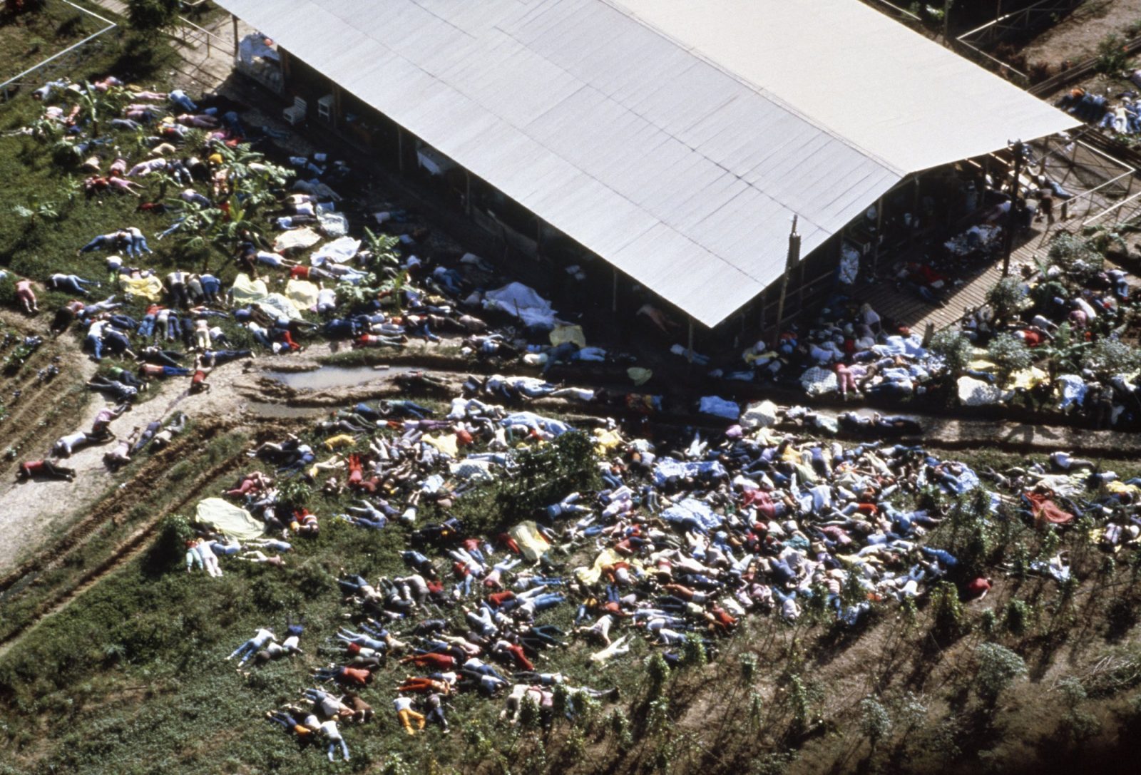 If You Can Answer 12/15 of These Questions Correctly, You’re Smarter Than the Average Person Jonestown