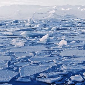 If You Don't Get C Or Better On This Geography Quiz, You Need To Repeat 5th Grade Arctic