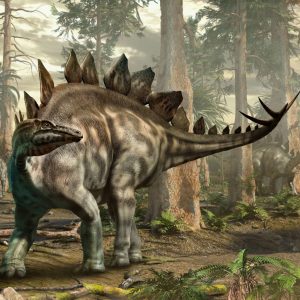 Dinosaur Quiz Stego whip
