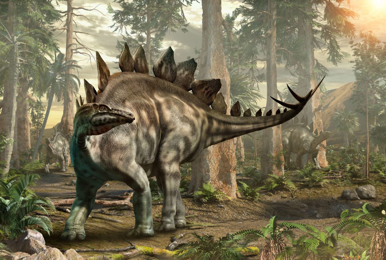 Only Someone With a High IQ Can Score 10/15 on This Quiz Stegosaurus