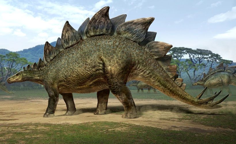 Dinosaur Quiz Stegosaurus 820x500
