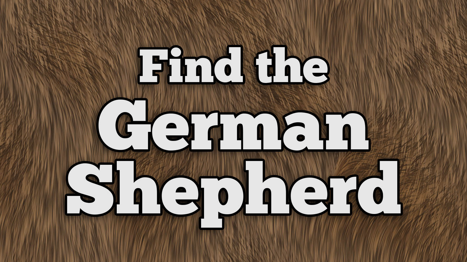 We Bet You Can’t Identify More Than 20/27 of These Dog Breeds Text German Shepherd