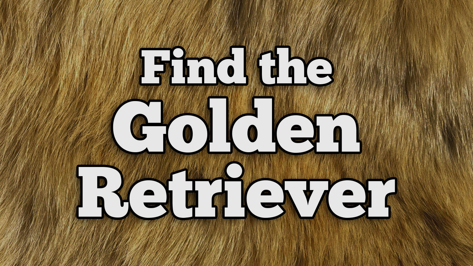 We Bet You Can’t Identify More Than 20/27 of These Dog Breeds Text Golden Retriever