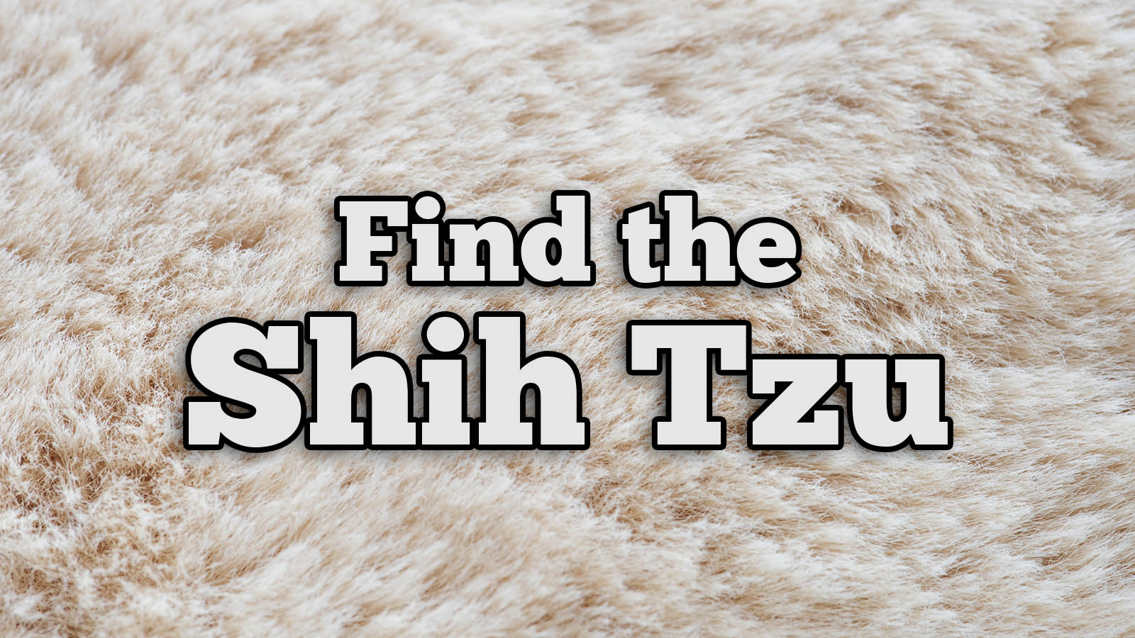 We Bet You Can’t Identify More Than 20/27 of These Dog Breeds Text Shih Tzu