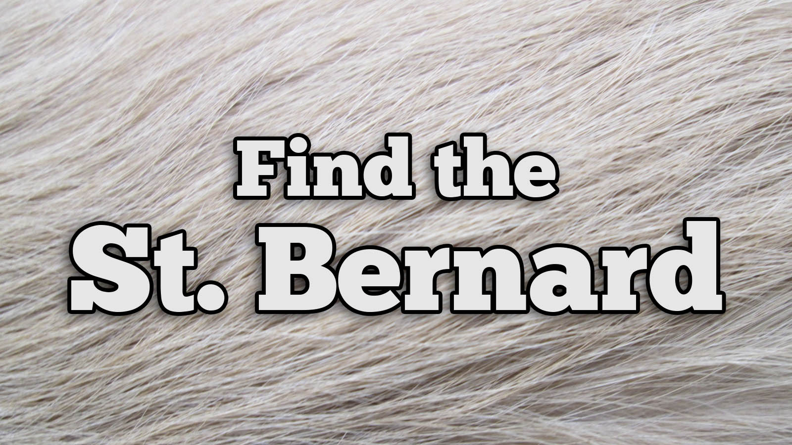 We Bet You Can’t Identify More Than 20/27 of These Dog Breeds Text St. Bernard