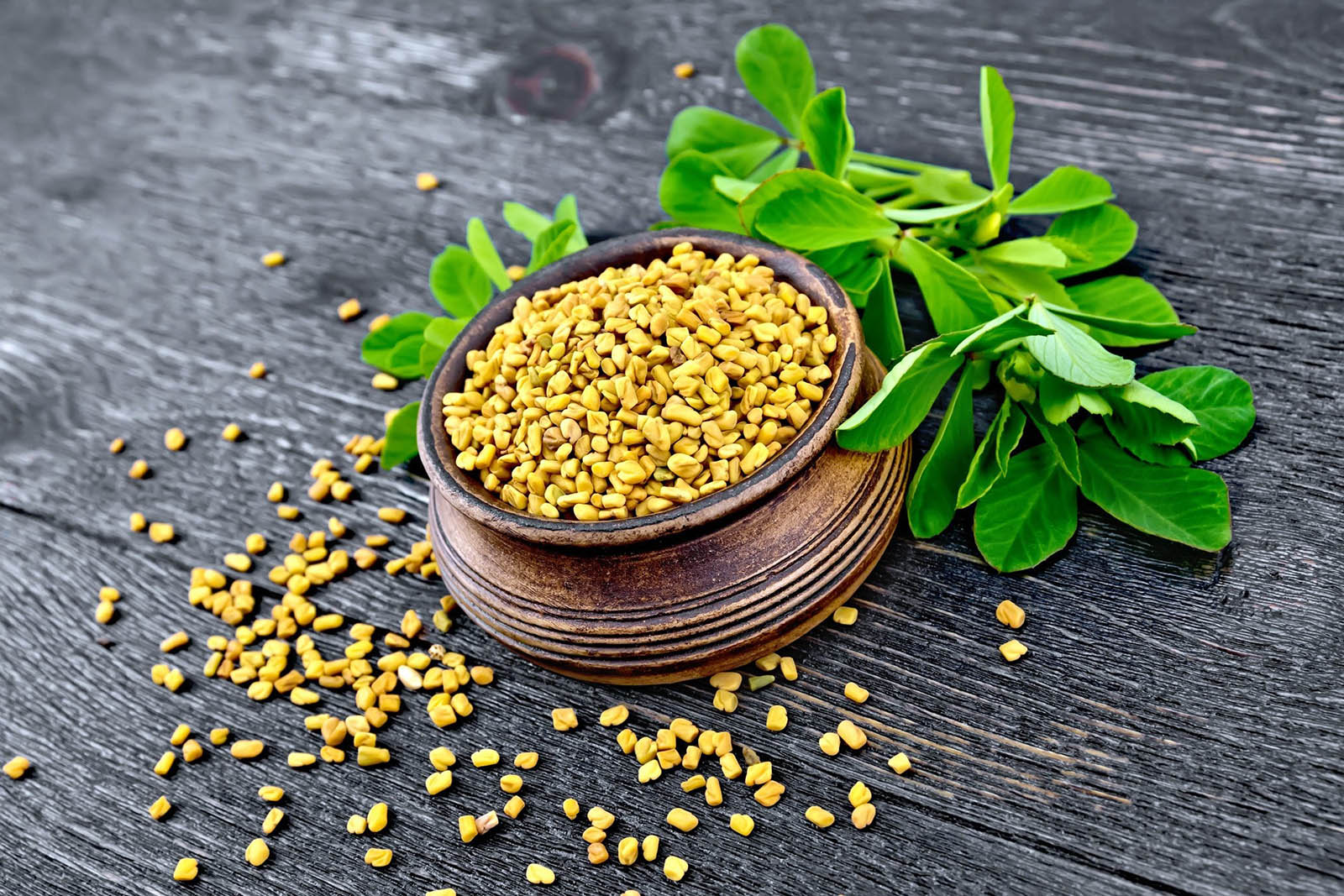 🌶 Can We Guess Your Age Just by Looking at Your Spice Cabinet? Fenugreek