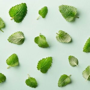 This Animal Quiz Might Not Be Hardest One You've Ever Taken, But It Certainly Isn't Easy Mint