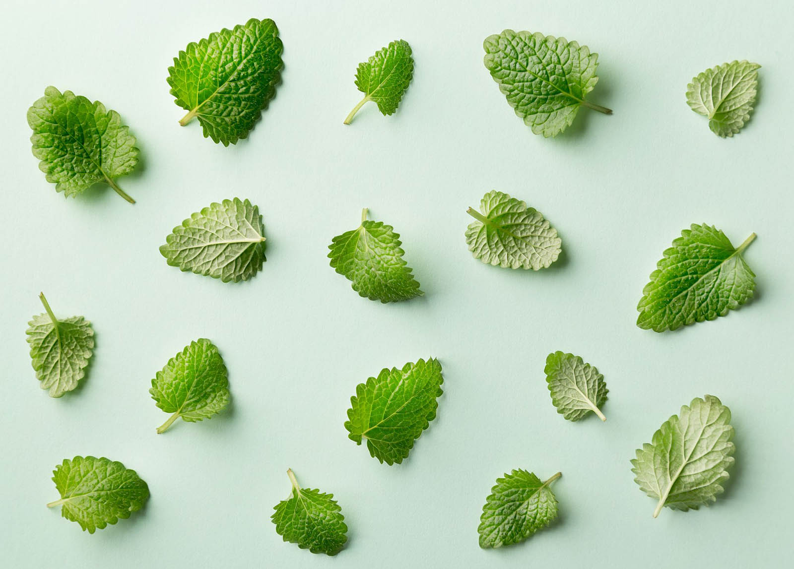 🍳 Cook up a Storm in the Kitchen and We’ll Reveal Your Ideal Food-Related Job Mint green leaves