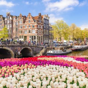 Can You Match These Extraordinary Natural Features to Their Respective Countries? Netherlands