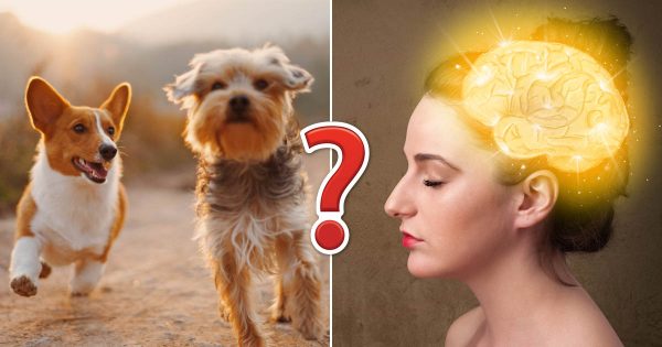 If You Get 12/15 on This General Knowledge Quiz, You’ve Got More Brains Than Normal