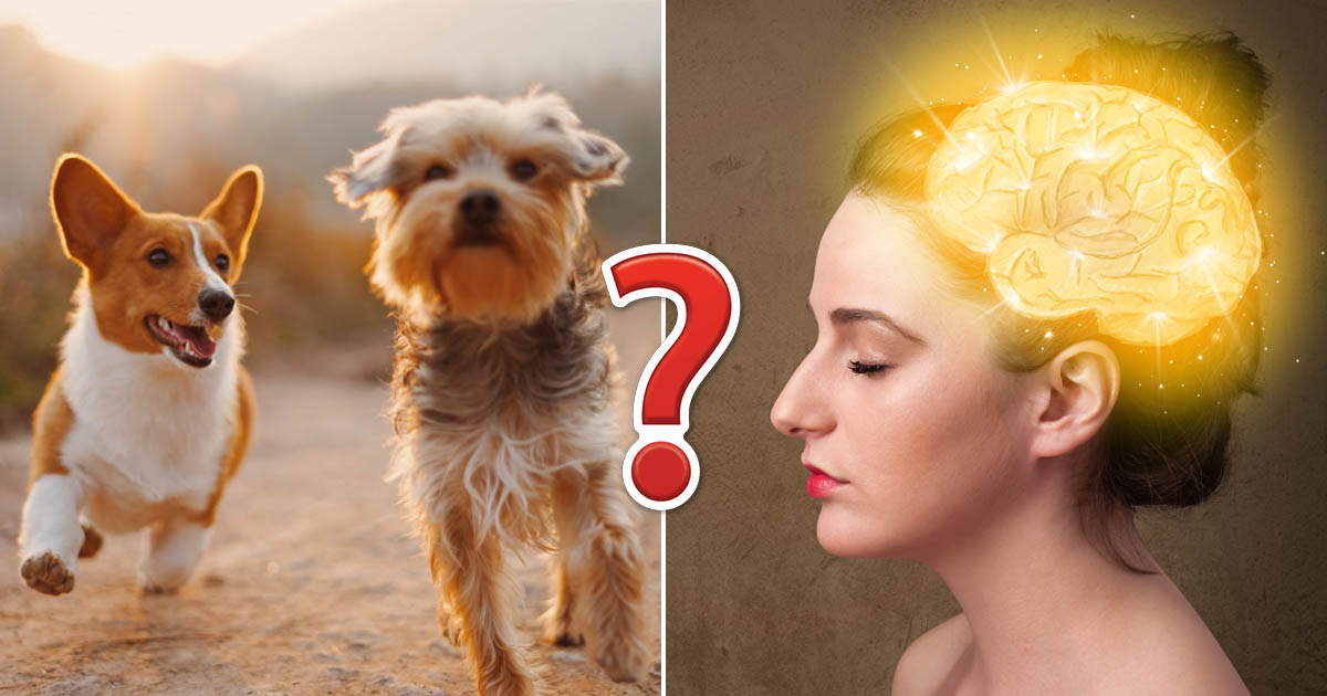 If You Get 12 on This General Knowledge Quiz, You've Got More Brains Than Normal