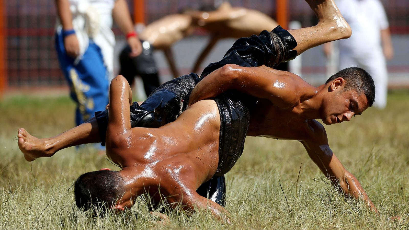 If You Can Pass This Random Knowledge Quiz, You Probably Know Too Much Oil Wrestling