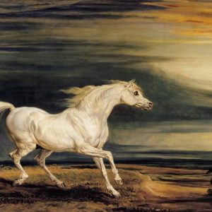 If You Can Pass This Random Knowledge Quiz, You Probably Know Too Much Secretariat