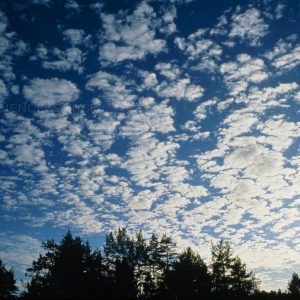 Weather Trivia Quiz Cirrocumulus