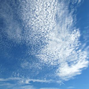 Weather Trivia Quiz Stratus