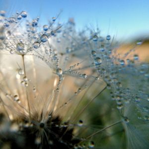Weather Trivia Quiz The middle point of an area of condensation