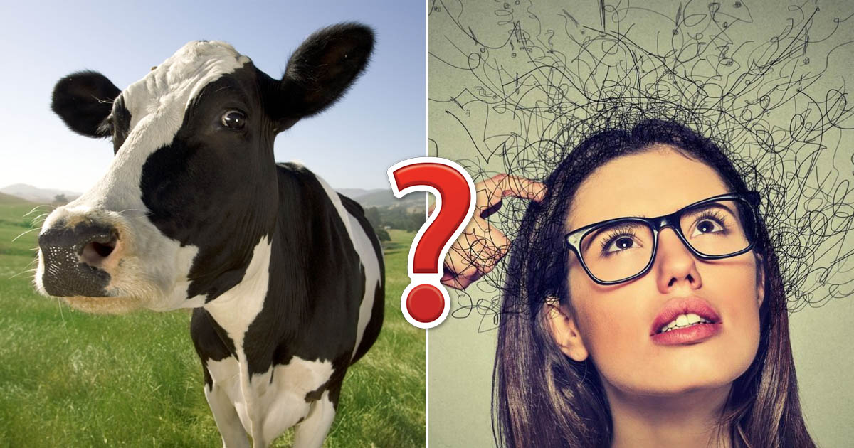 If You Can Pass This Random Knowledge Quiz, You Probably Know Too Much