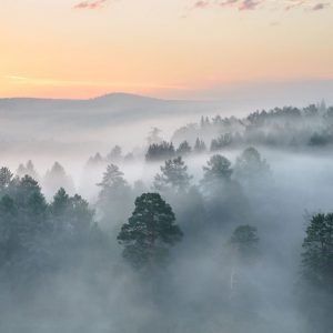Weather Trivia Quiz Water vapor
