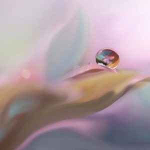Weather Trivia Quiz The atmospheric temperature at which water droplets begin to form