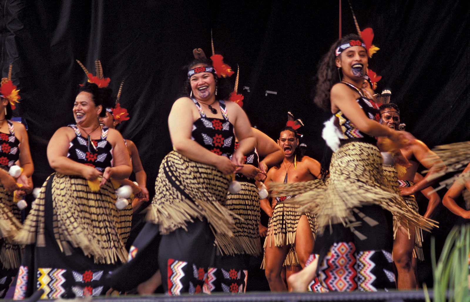 Maori Kapa Haka Wellington New Zealand