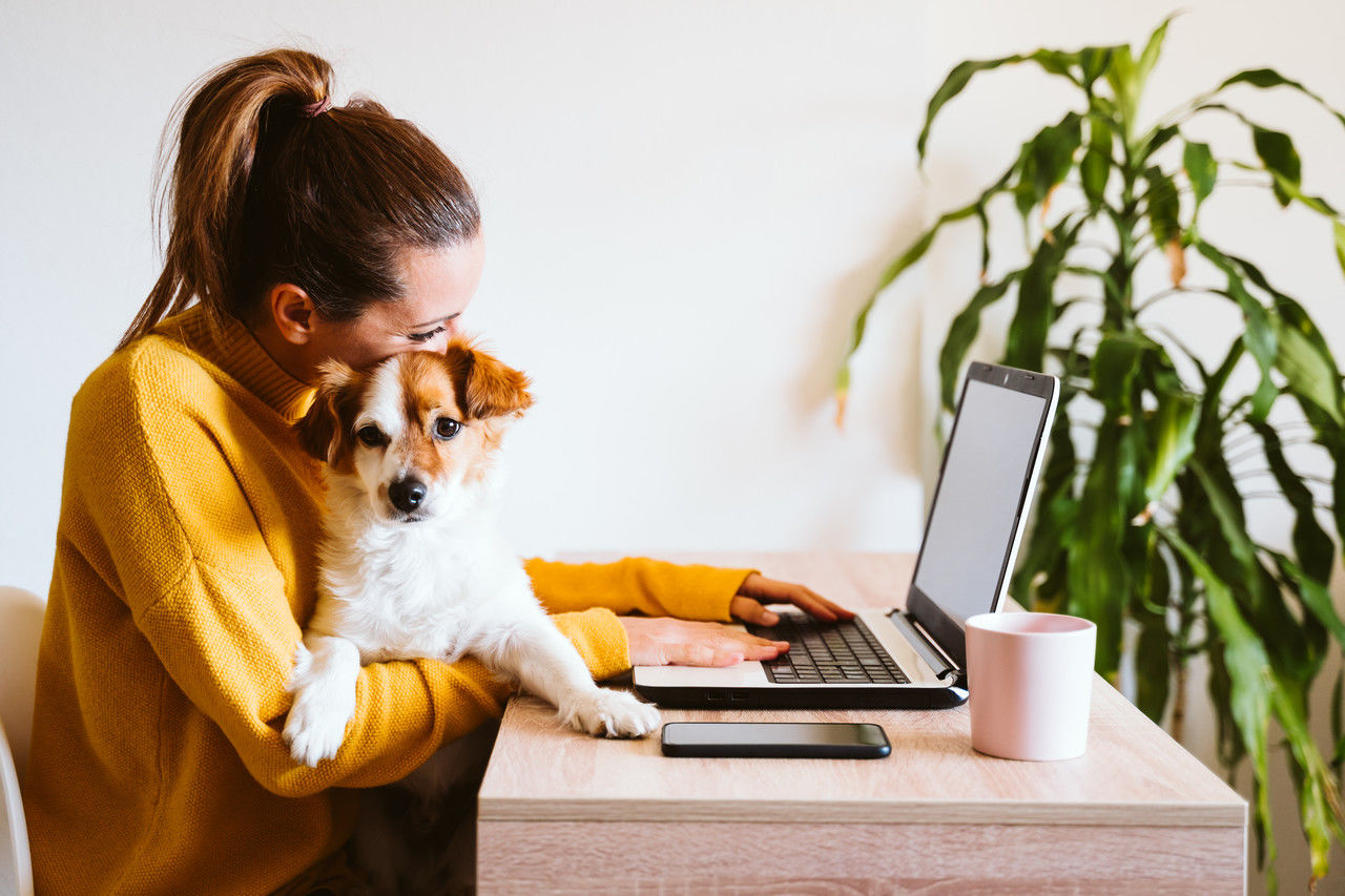 Young Woman Working On Laptop At Home,cute Small Dog Besides. Wo