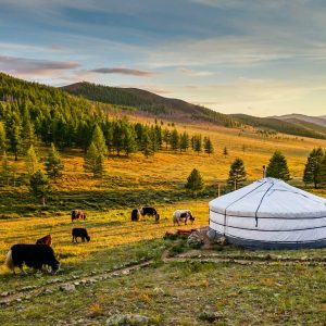 Journey Around the 🌎 Globe from Wherever You Are With This 32-Question Trivia Quiz Mongolia