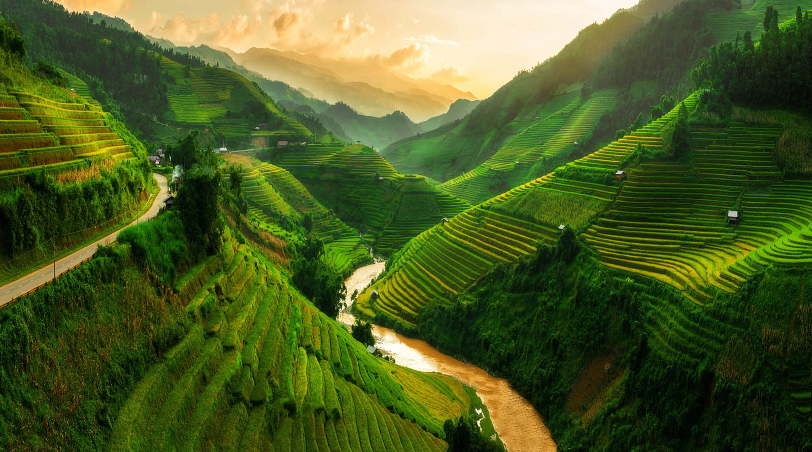 Here Are 20 General Knowledge Questions — How Many Can You Answer Correctly? Vietnam rice terraces