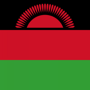 🌍 These Brainteasers About African Countries Will Stump Most Geography Experts Malawi